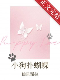 小狗扑大狗
